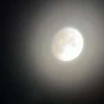 Image_20231009022752