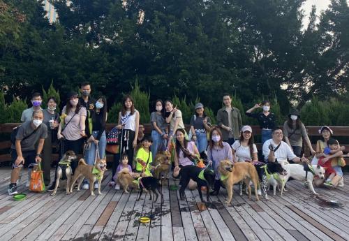 42731683340679_.pic_hd